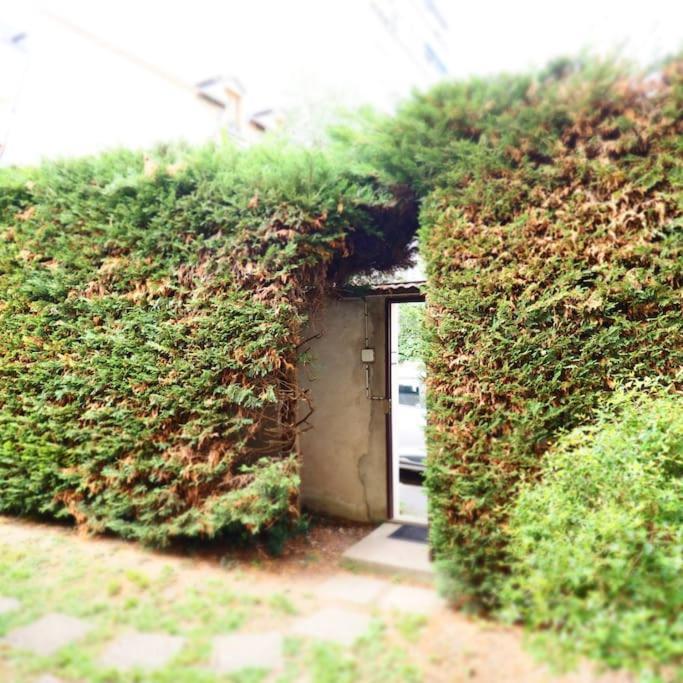וישי Maison Faure - Centre Ville - Jardin - Garage מראה חיצוני תמונה